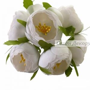 Півонії з тичинками-білі №38