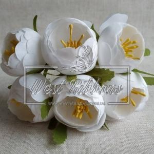 Півонії з тичинками-білі №38
