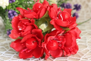 Цвет яблуни из жемчужиной, красный