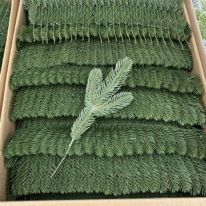 Гілочка ялини-"Трьохлапка-пухнаста", зелена