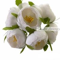 Півонії з тичинками-білі №38
