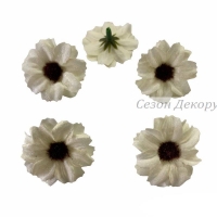 Рудбекія 4 см, молочна