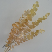 Гілка евкаліпту  С30358 , персикова (80 см)