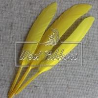 Перо довге, жовте